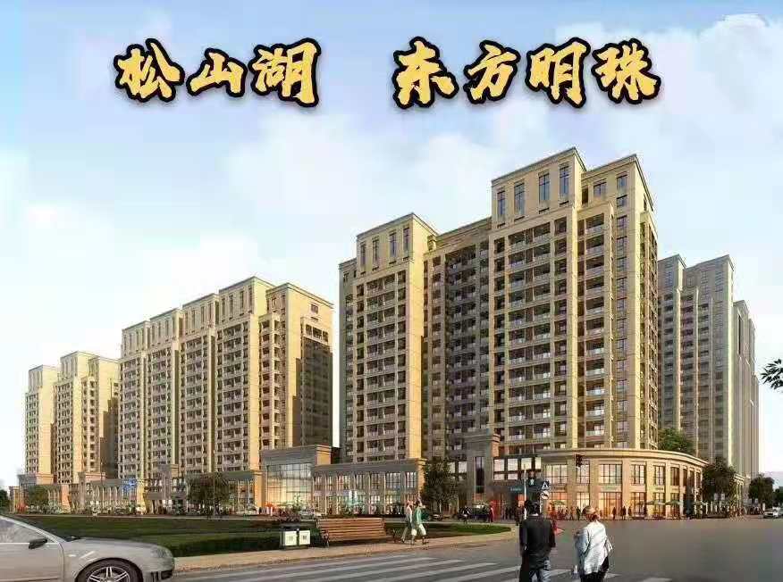 大朗 6栋村委统建楼【东方明珠】高端品质 户型方正 带停车场