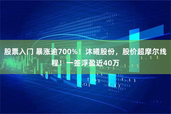 股票入门 暴涨逾700%！沐曦股份，股价超摩尔线程！一签浮盈近40万