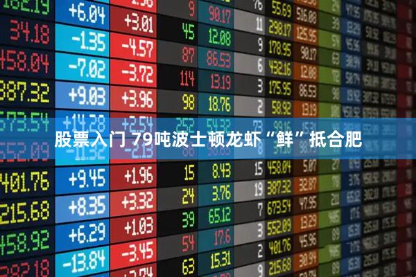 股票入门 79吨波士顿龙虾“鲜”抵合肥